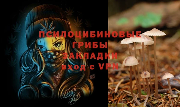 spice Навашино